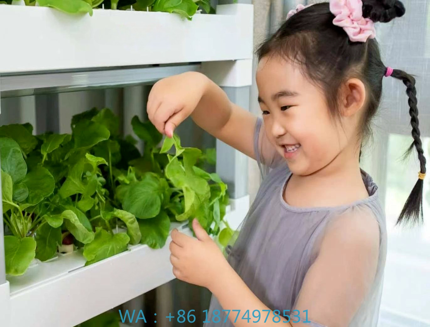 nt China Hydrokultur Grow Box  - Diy Home Automation System incelemesi ve fiyatı