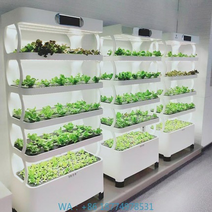 Iydroponic Automated Grow Syst - Diy Home Automation System incelemesi ve fiyatı