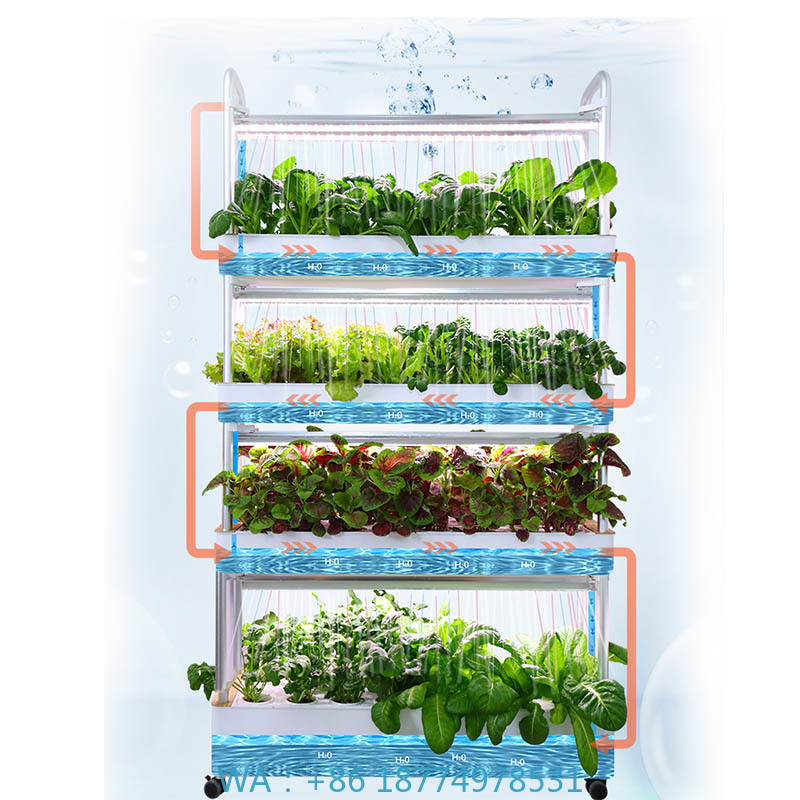 ydroponic Planting System Smar - Diy Home Automation System incelemesi ve fiyatı