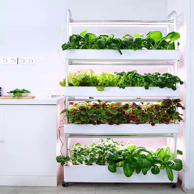 ydroponic Planting System Smar - Diy Home Automation System incelemesi ve fiyatı