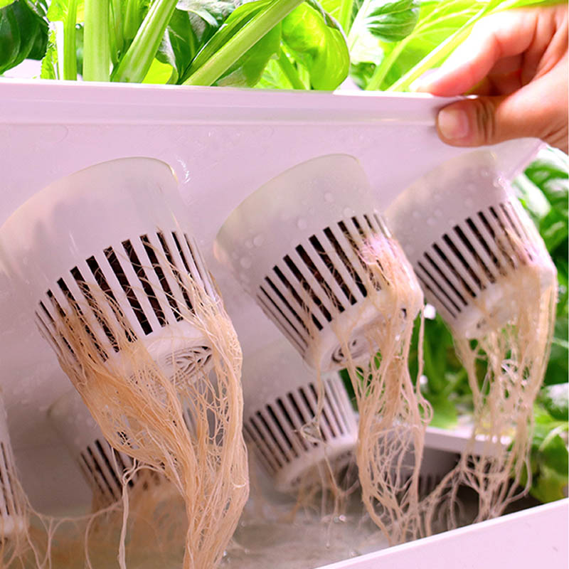 ydroponic Planting System Smar - Diy Home Automation System incelemesi ve fiyatı
