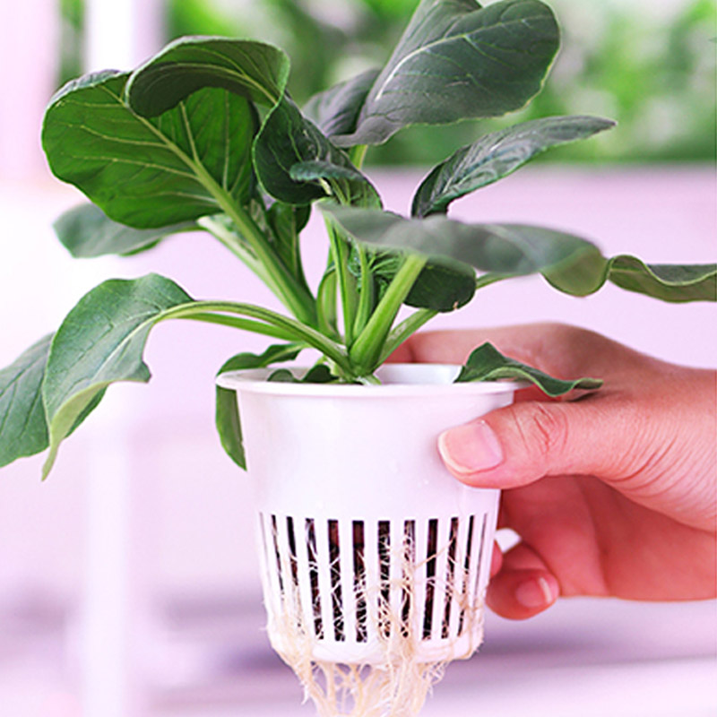 ydroponic Planting System Smar - Diy Home Automation System incelemesi ve fiyatı