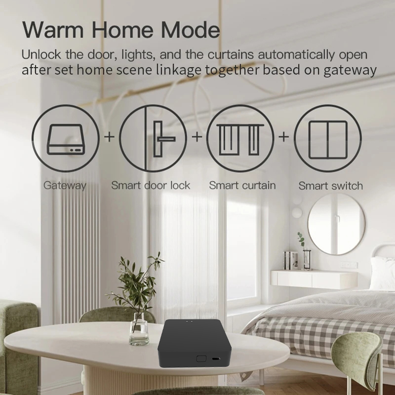 Work with Tuya Smart Zigbee+ B - Diy Home Automation Hub incelemesi ve fiyatı