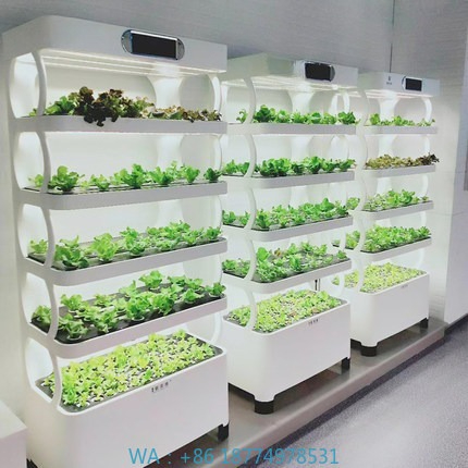 Hydroponic Automated Grow Syst - Diy Home Automation System incelemesi ve fiyatı